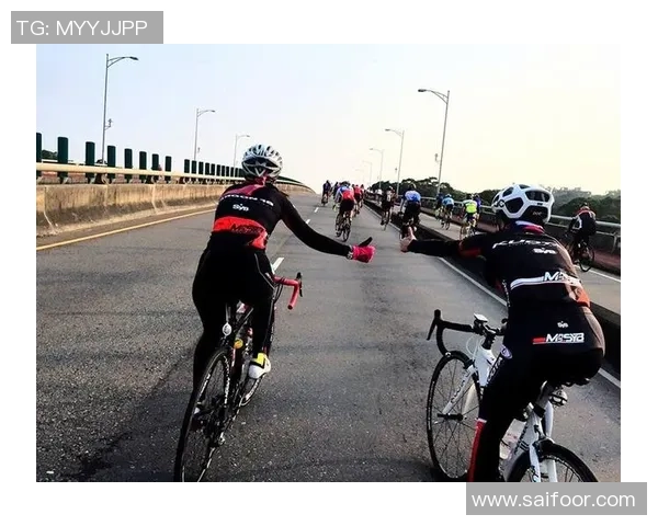 羽毛球场上的追梦旅程:刘芳的坚持与荣耀人生 羽毛球场上的追梦旅程:刘芳的坚持与荣耀人生